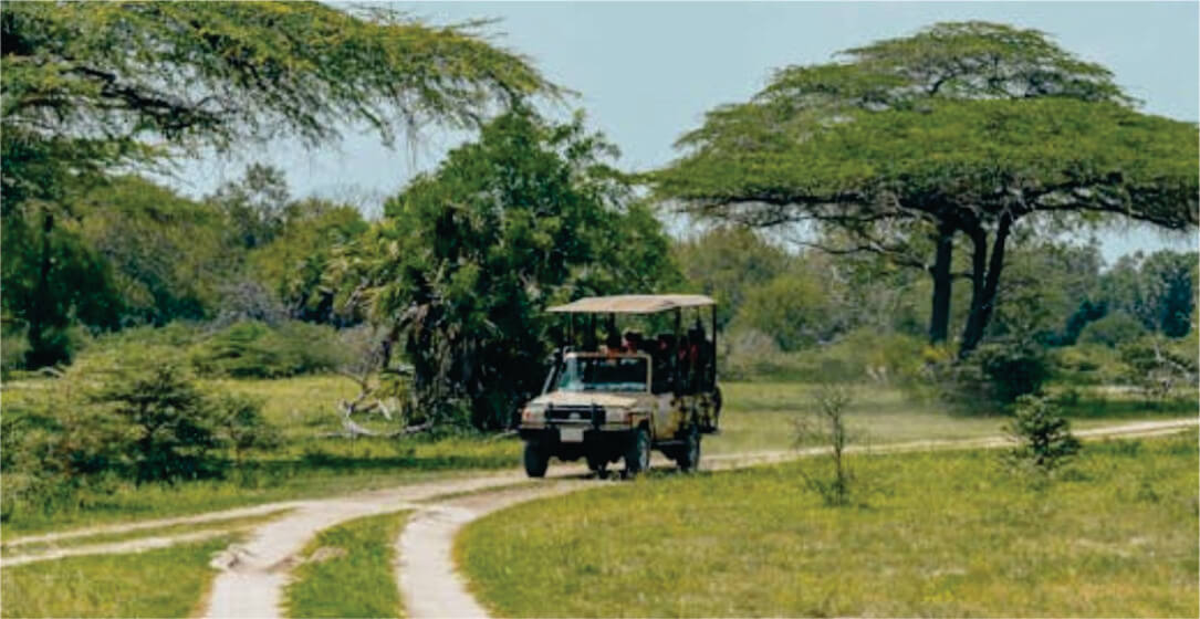 Transfer safari vehicle on a dirt road through a grassy landscape with trees