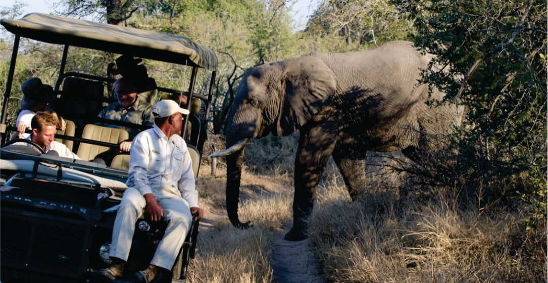 People in a small group rental safari vehicle observing an elephant in a natural setting on small group joining safari game drives in Kenya