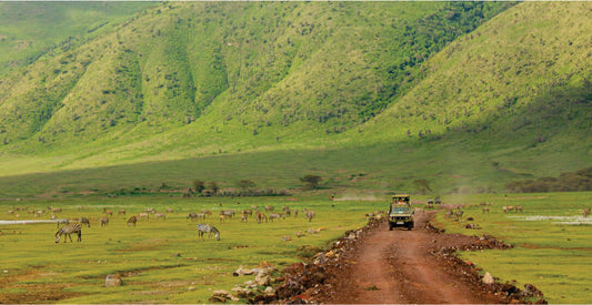 Safari vehicle transfer from Nairobi to Masai Mara on a dirt road with green hills and animals in the distance