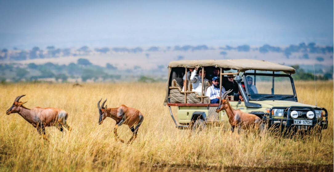Safari vehicle with a group of tourists observing antelopes in a grassy savannah on small group joining safari game drives in Kenya