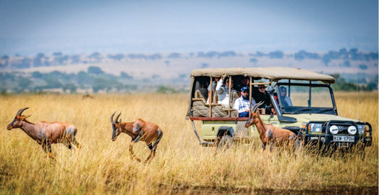 Safari vehicle with a group of tourists observing antelopes in a grassy savannah on small group joining safari game drives in Kenya