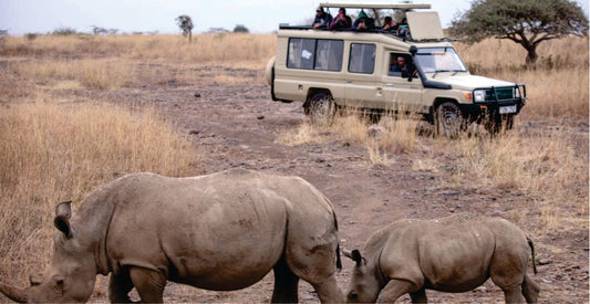 Two rhinos in a savannah with a safari vehicle in the background on a thrilling kenya safari Samburu National Park game tour.
