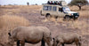 Two rhinos in a savannah with a safari vehicle in the background on a thrilling kenya safari Samburu National Park game tour.