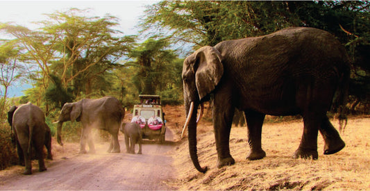 Elephants walking on a dirt road with a 4x4 safari vehicle carrying a group of tourists in the background