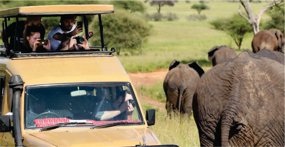 People in a safari vehicle observing elephants in a natural setting on safari game drives in Amboseli National Park
