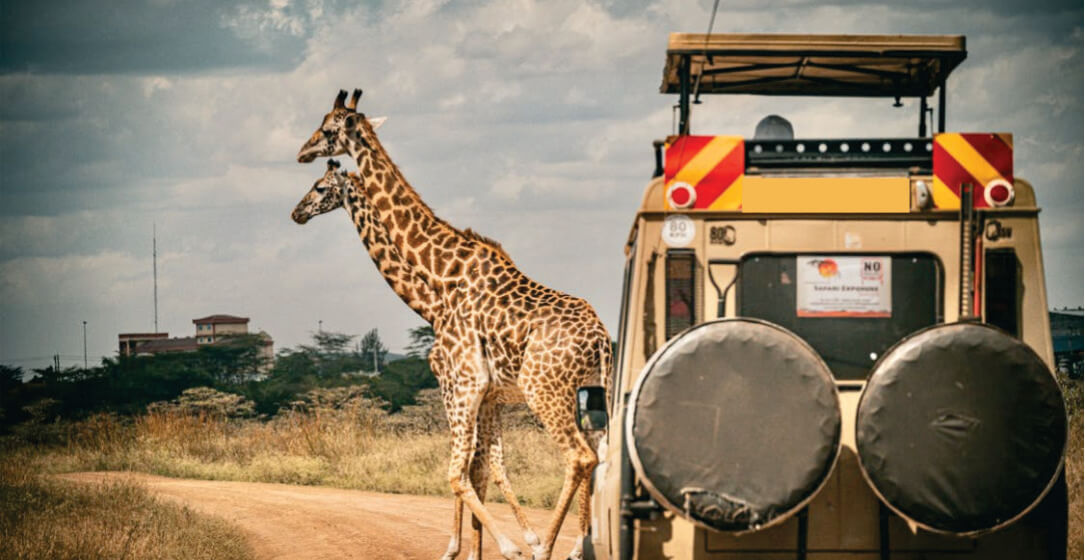 Giraffe standing next to a safari vehicle on a dirt road with a scenic background.
