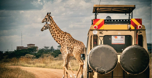 Giraffe standing next to a safari vehicle on a dirt road with a scenic background.