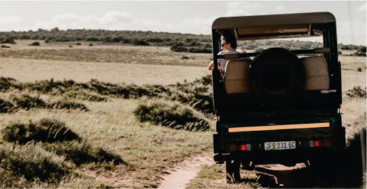 Person in a safari vehicle on a grassy plain on remarkable Samburu Kenya Safari Game Drives