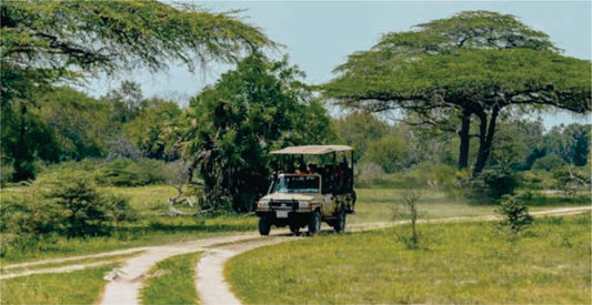 Transfer safari vehicle on a dirt road through a grassy landscape with trees