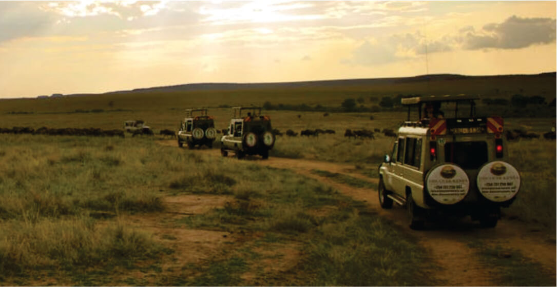 Three safari vehicles on a dirt road in a grassy savannah landscape.