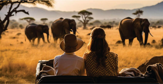 Two people sitting in a safari vehicle on Masai Mara Safari 3 days game drive package in Kenya, observing elephants in a grassy savanna at sunset.