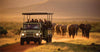 Group of visitors in a green open-sided safari jeep watching elephant herd on hunting safari game drive in Masai Mara