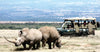 Group of visitors in a green open-sided safari jeep watching rhinos on safari in Masai hunting safari game drive in Masai Mara