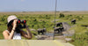 Woman observing elephants from a safari vehicle using binoculars on solo joining safari game drives in Masai Mara.